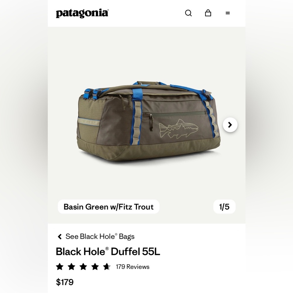 NWT Patagonia Black Hole Duffel Bag 55L - Basin Green